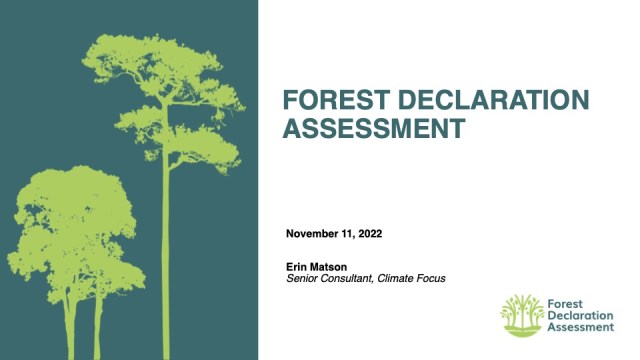 Forest Declaration Assessment