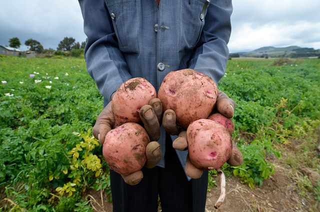 hands present vegetable - Measuring Progress