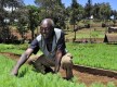 In Kenya, there’s an app for food security