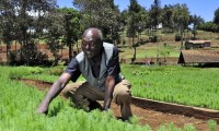 In Kenya, there’s an app for food security