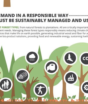 Forests, market and demand infographic - Measuring Progress