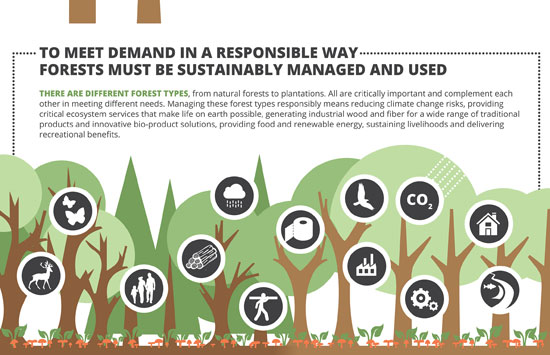 Forests, market and demand infographic - Measuring Progress