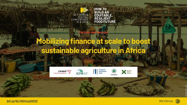 microfinance Africa