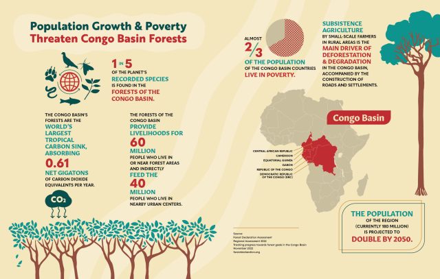 Congo Basic Forests