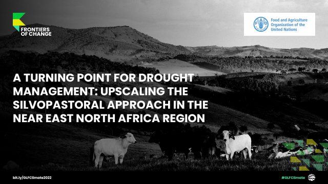 drought management