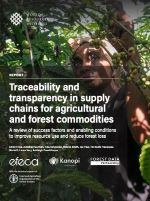 forest loss, forest data