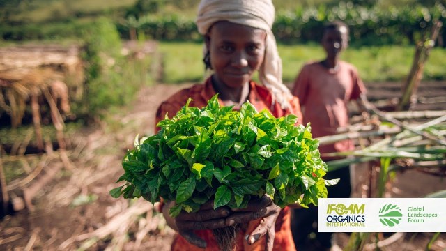 farmer woman holding organic food agriculture