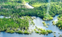 Traçando os pontos que levaram a Amazônia ao seu ponto de inflexão