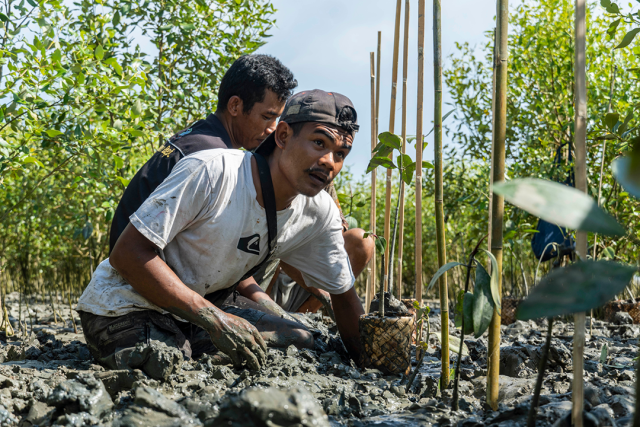 Dwi Riyan (Wetlands Restoration Steward 2023) Indonesia, Asia