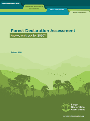 Forest Declaration Assessment