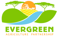 logo-evergreen